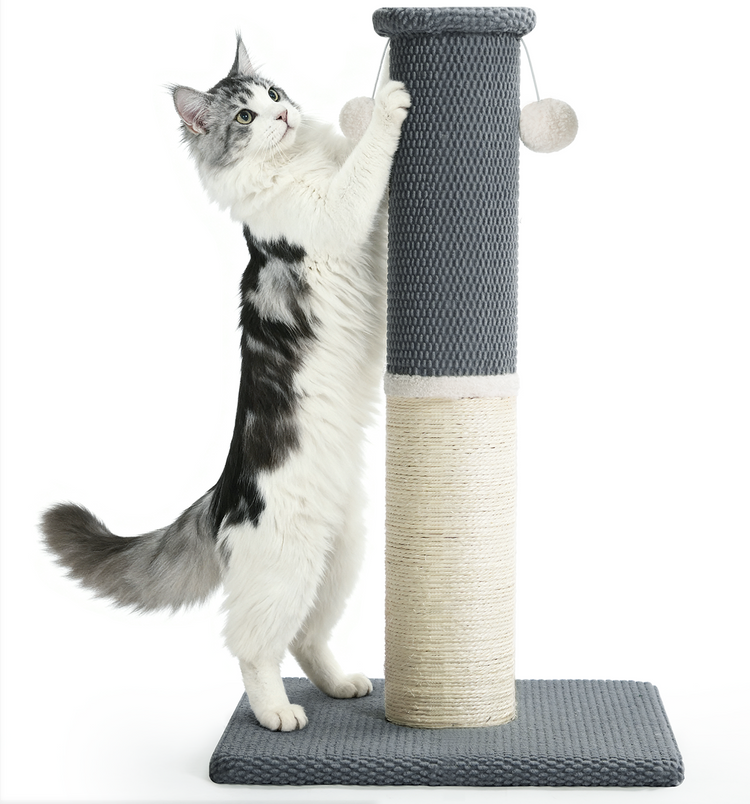 Made4Pets Cat Scratching Post, Tall Cat Scratch Post for Indoor Cats Natural Sisal Rope Thin Cat Scratcher