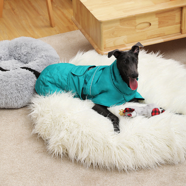 Made4Pets Reversible Waterproof Windproof Dog Jacket