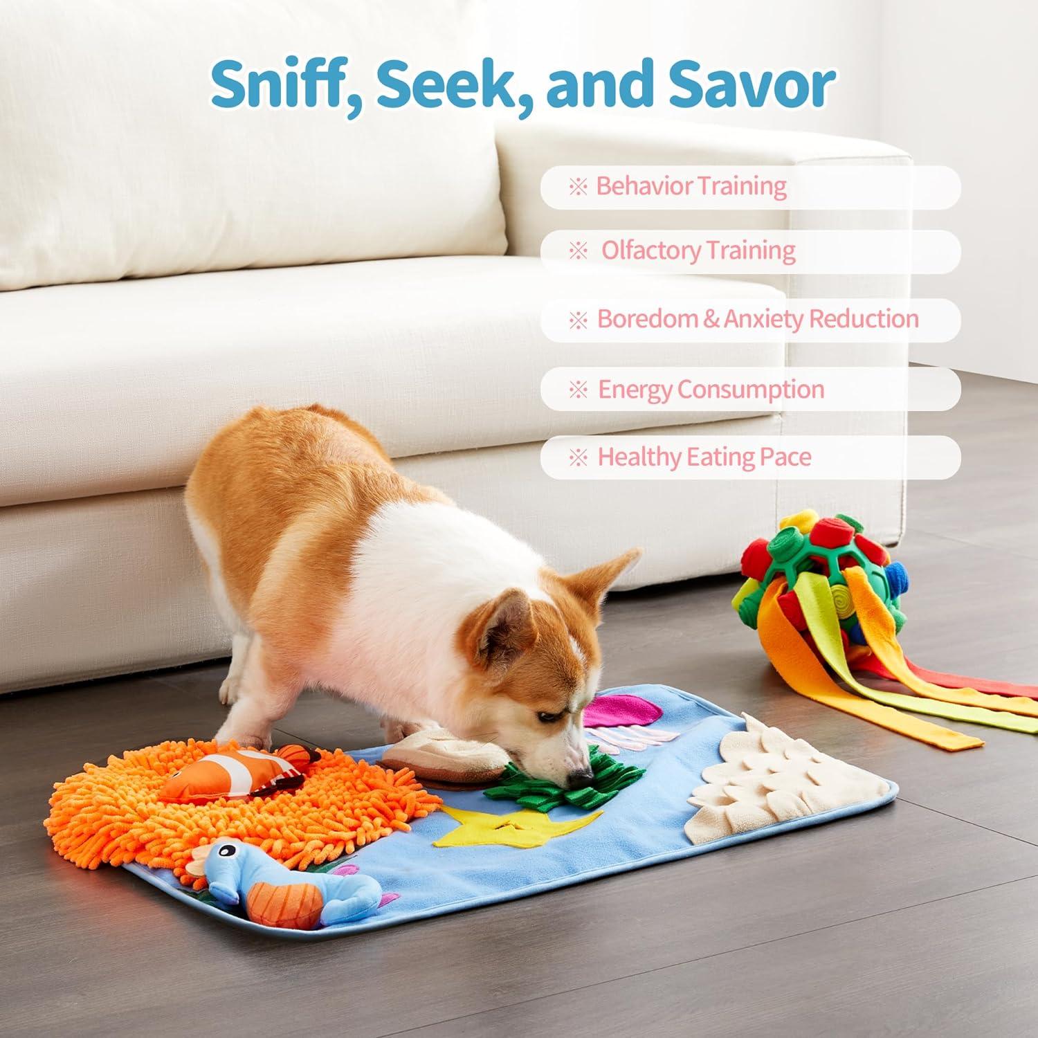 Snuffle Mat & Ball Set for Interactive Treat Game - Made4Pets