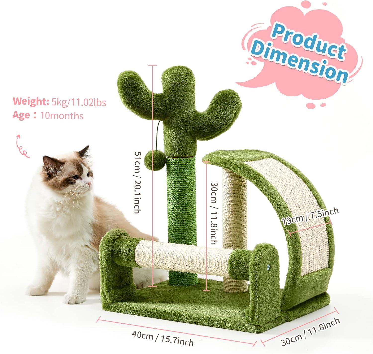 Cactus Scratcher Tree for Indoor Small Cats with Natural Sisal Ropes - Made4Pets