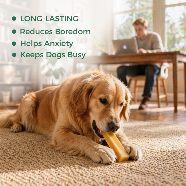 Made4Pets Natural Rawhide-Free Long-Lasting Yak Milk Dog Chews Treat, 6 Chews