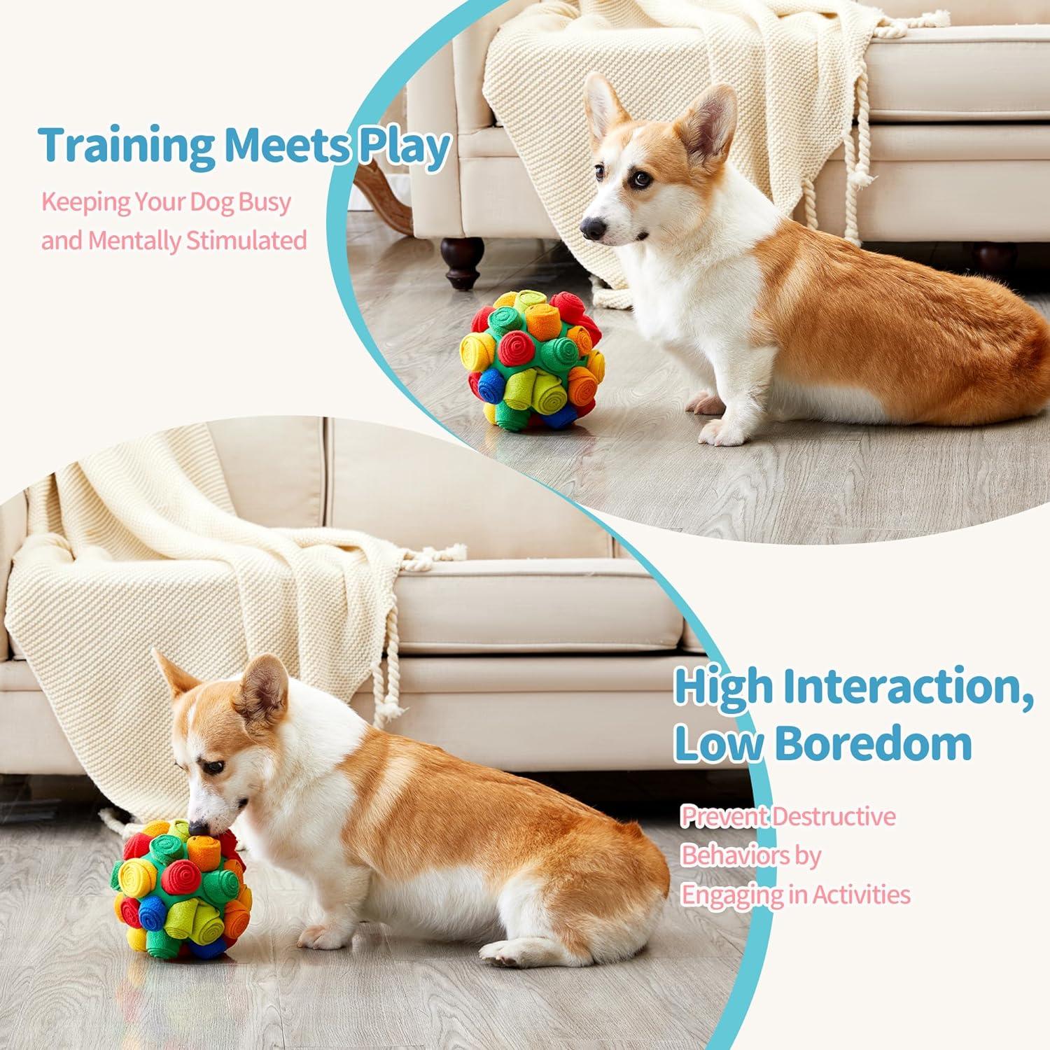 Snuffle Mat & Ball Set for Interactive Treat Game - Made4Pets