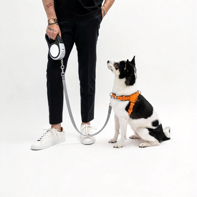 Made4Pets Durable Retractable Leash for Dogs - Secure Lock & Anti-Slip Handle