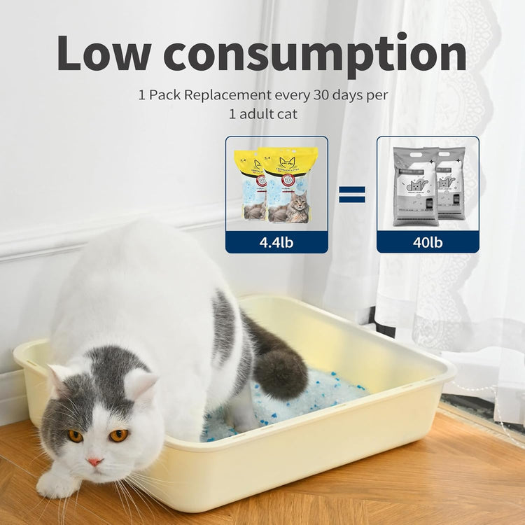 Air Champion Eco Friendly Clumping Cat Litter Cat Litter Crystals Kitty Litter Odor Control Crystal Litter Non Clumping No scooping Low Dust, Low Tracking, Lightweight, Dehydrates Waste,– 19.8 lbs (6 x 3.3 lb Packs)