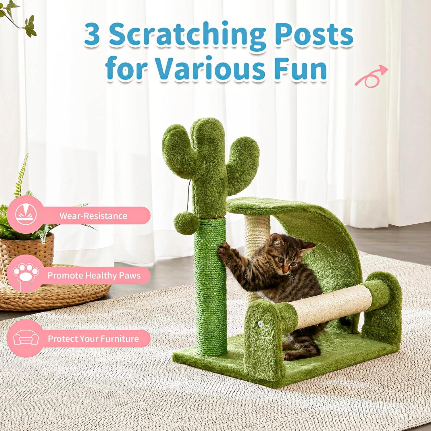 Cactus Scratcher Tree for Indoor Small Cats with Natural Sisal Ropes - Made4Pets