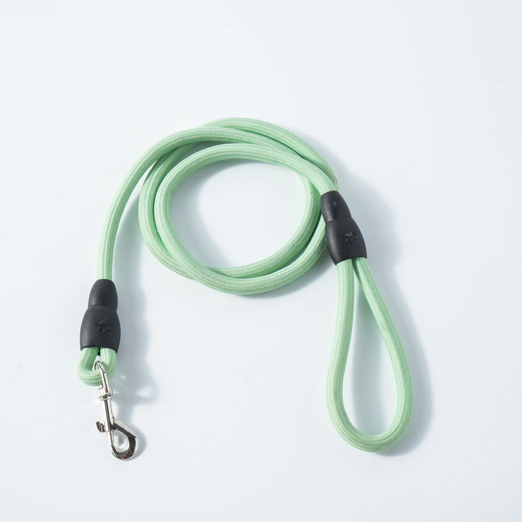 Made4Pets Durable Slip Lead, Duty Loop Leash, Comfortable Strong Rope for Small, Medium Dogs, No Pull Pet Training, Green