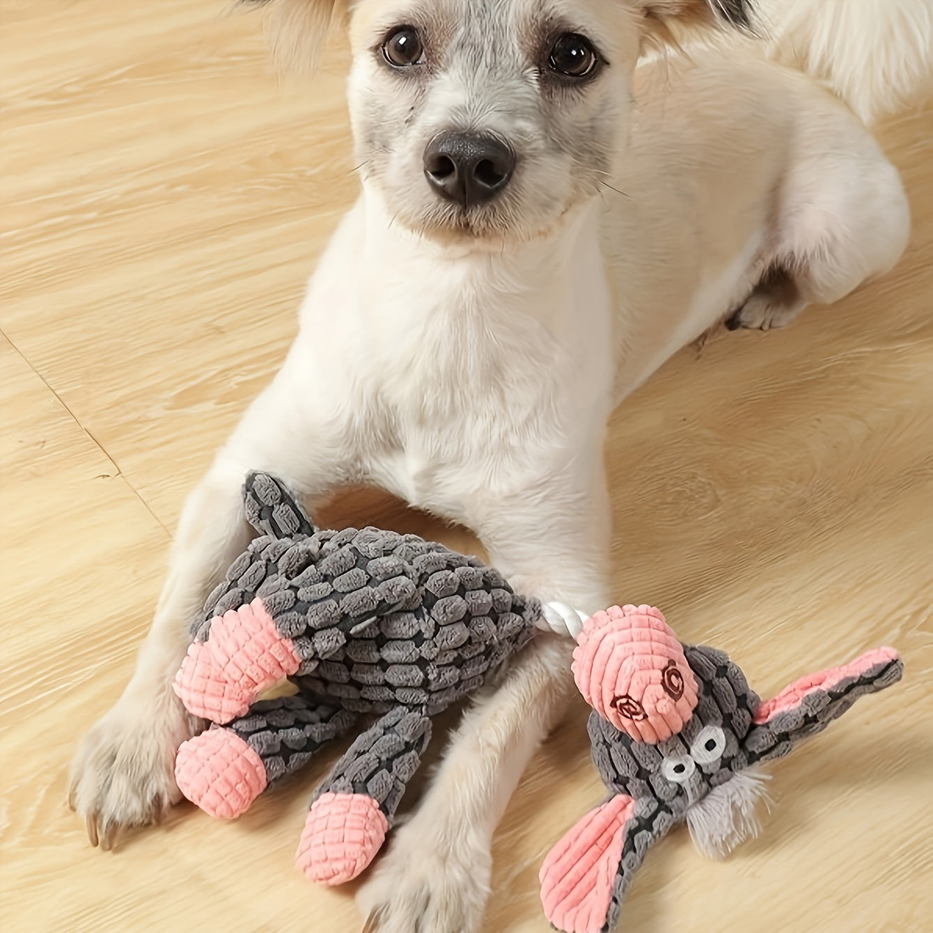 Squeaky Dog Toy Pack with Teeth Cleaning for Small Dogs - Made4Pets