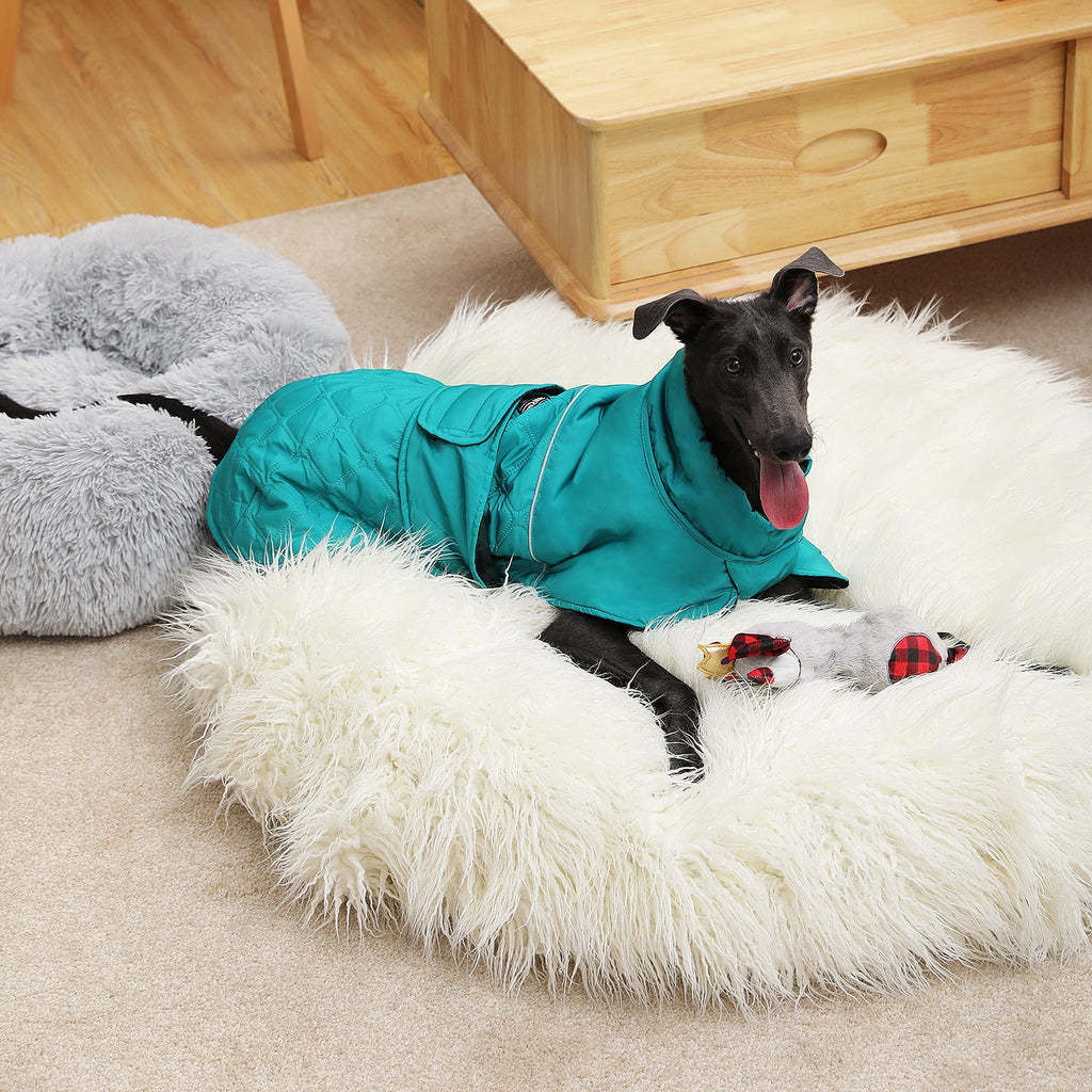 Made4Pets Reversible Waterproof Windproof Dog Jacket
